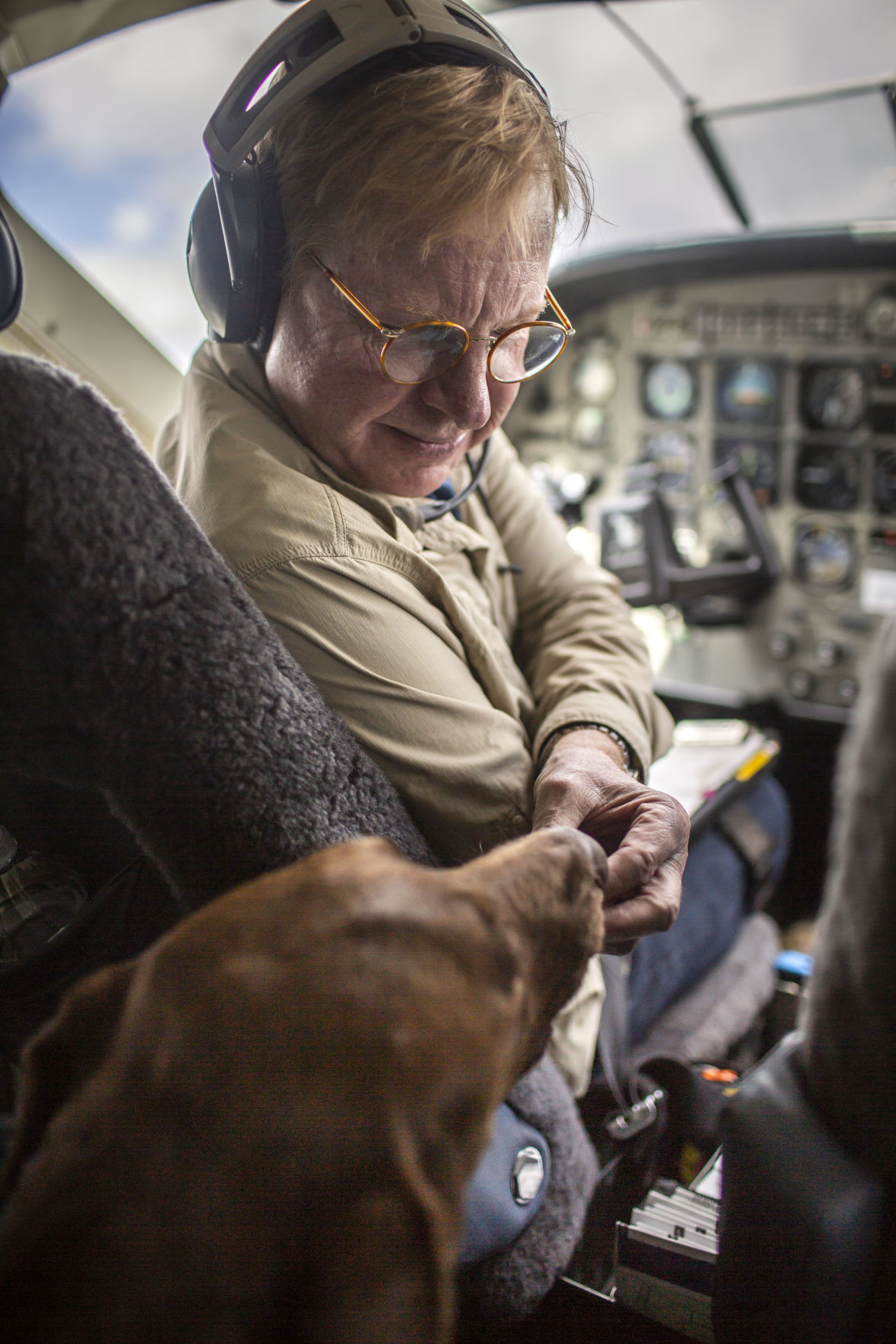 Dog Is My CoPilot